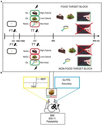Challenging inhibitory control with high- and low-calorie food: A behavioural and TMS study